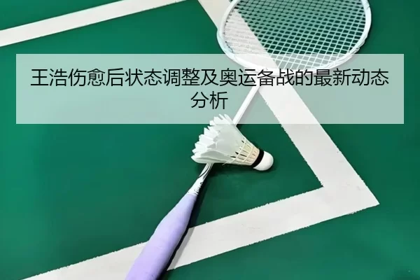 王浩伤愈后状态调整及奥运备战的最新动态分析
